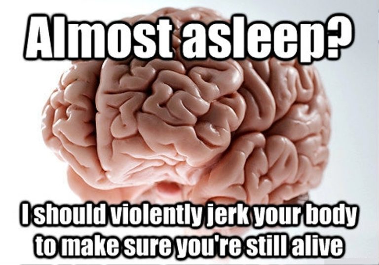 100 Most Sleepy Memes Funny Memes
