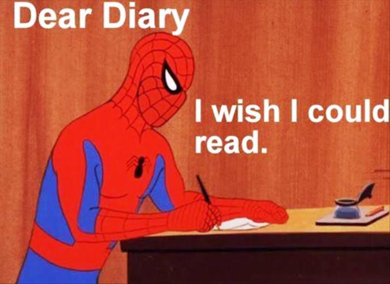 Dear Diary I Wish