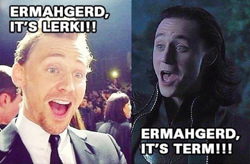 Ermahgerd Its Lerk Vs Ermahgerd Its Term