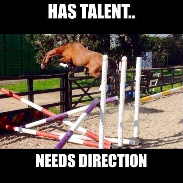 Has Talent Needs Direction