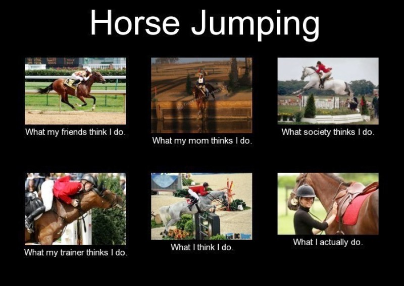 Horse Jumping