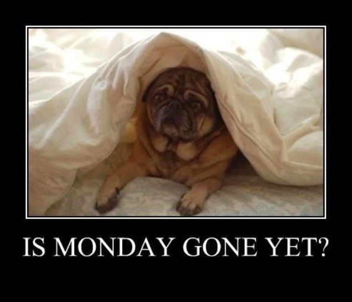 Is Monday Gone Yet