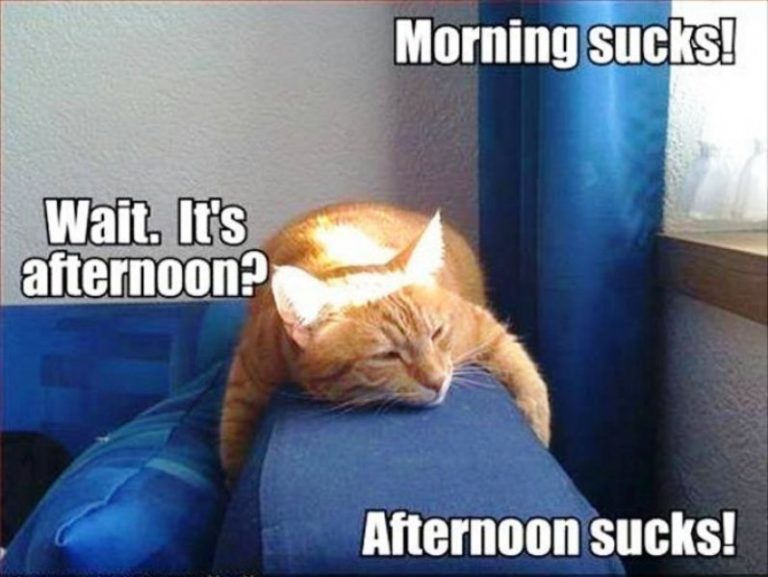 75 Awesome Morning Memes - Funny Memes