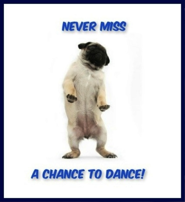 Never Miss A Chance To Dance