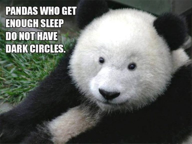 thanks for listening panda meme
