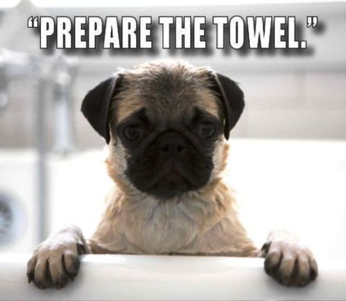 Prepare The Towel