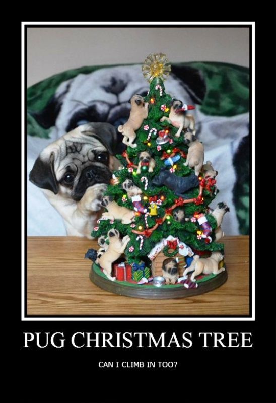 Pug Christmas Tree