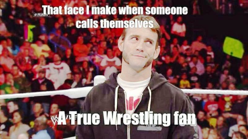 A True Wrestling Fan