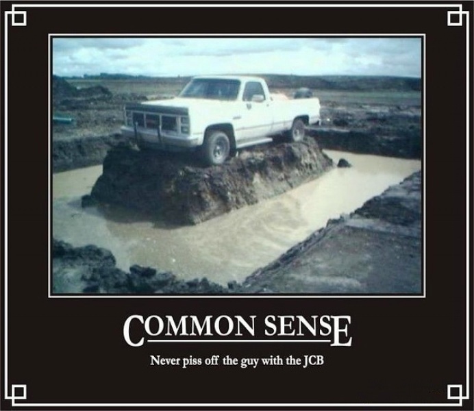 Common Sense