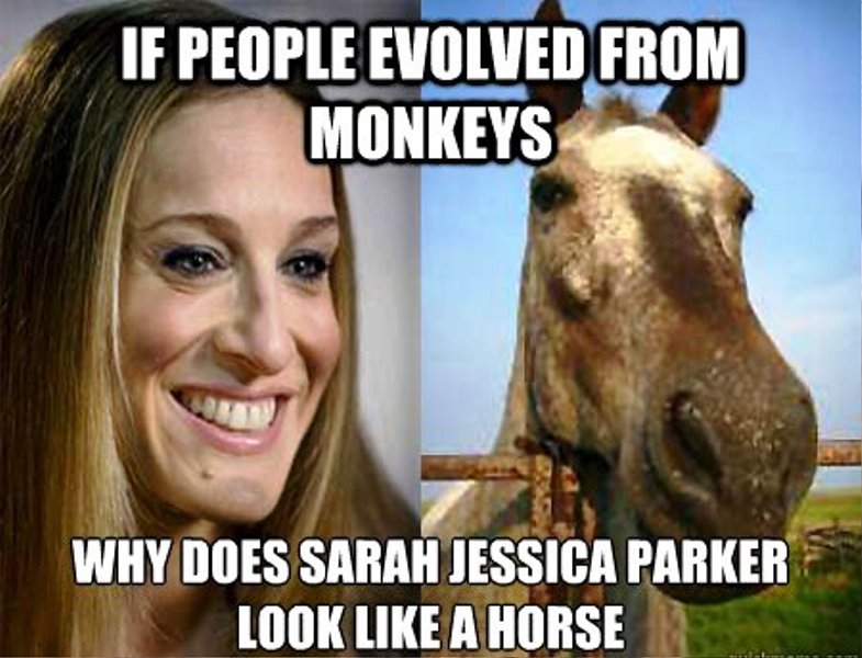 If People Evolved From Monkeys