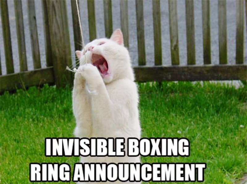 Invisible Boxing Ring Announcement