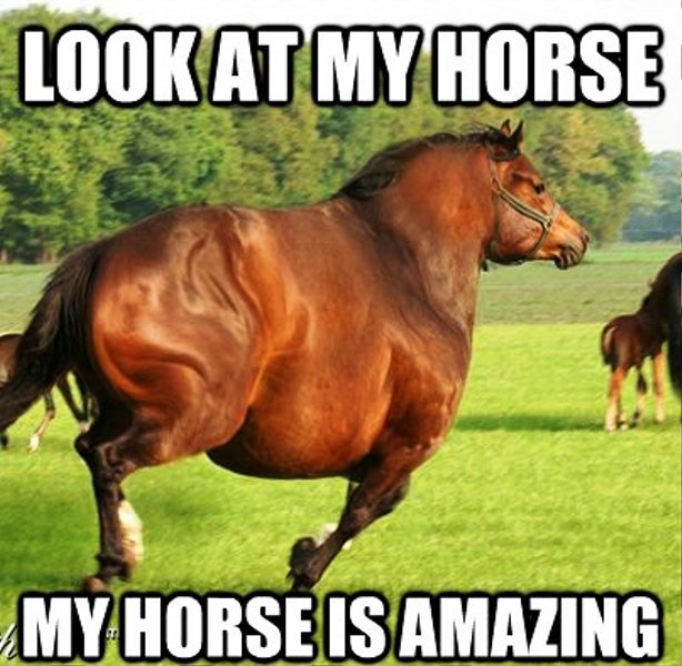 Look At My Horse