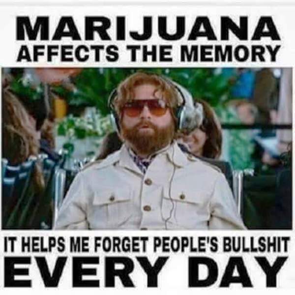 Marijuana Affects The Memory