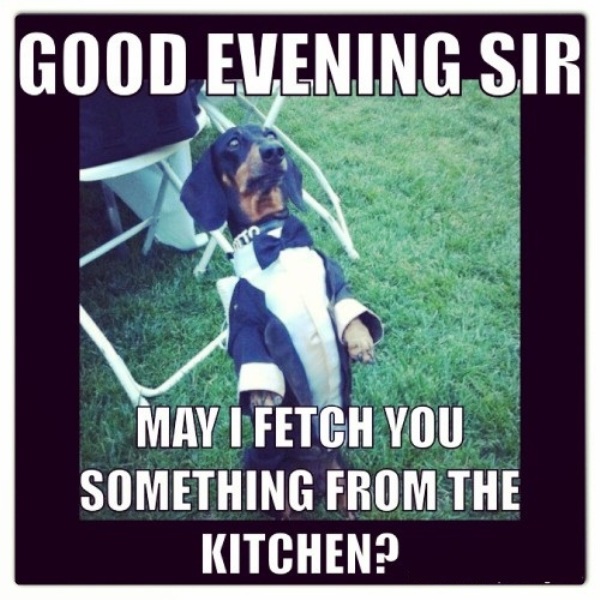 May I Fetch You Something From The Kitchen