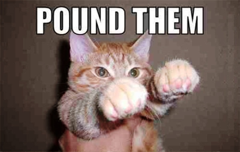 Pound Them