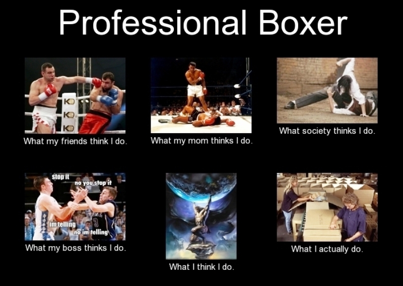 Professional Boxer