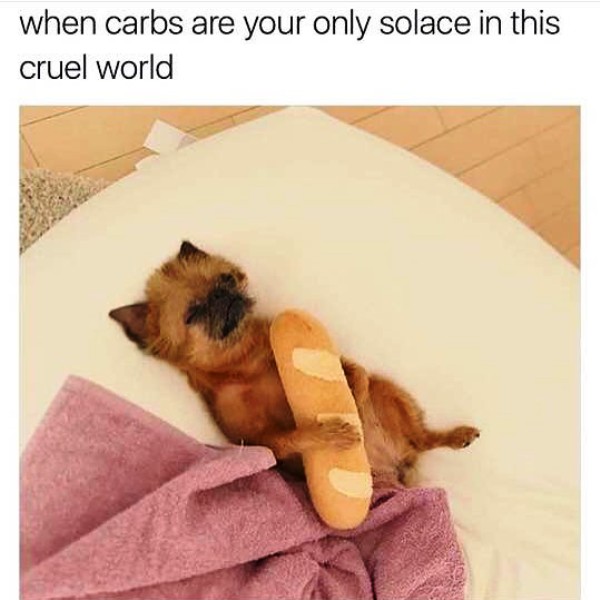 When Carbs Are Your Only Solace