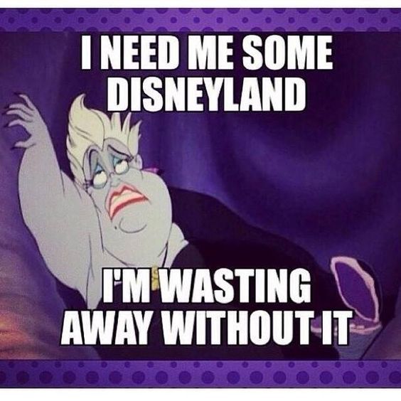 338 Disney Memes Funny (5)