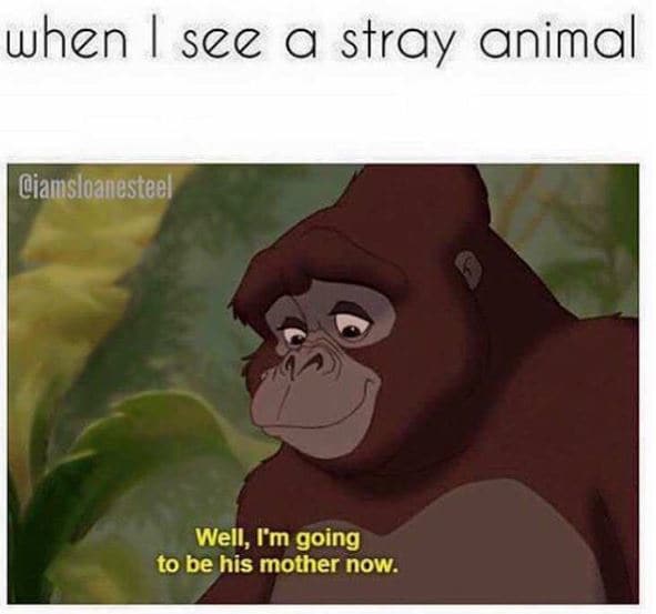 Funny Disney Memes (2)