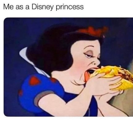 Funny Disney Memes (6)