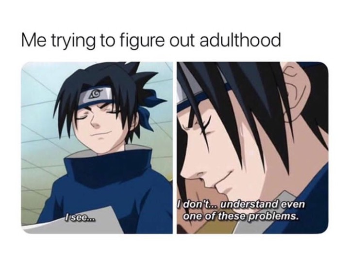 Fun Naruto Memes Anime (1)