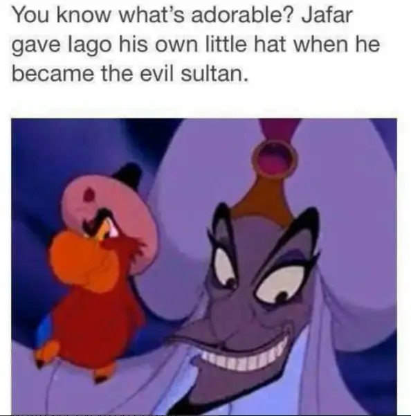 Funniest Memes Disney (2)