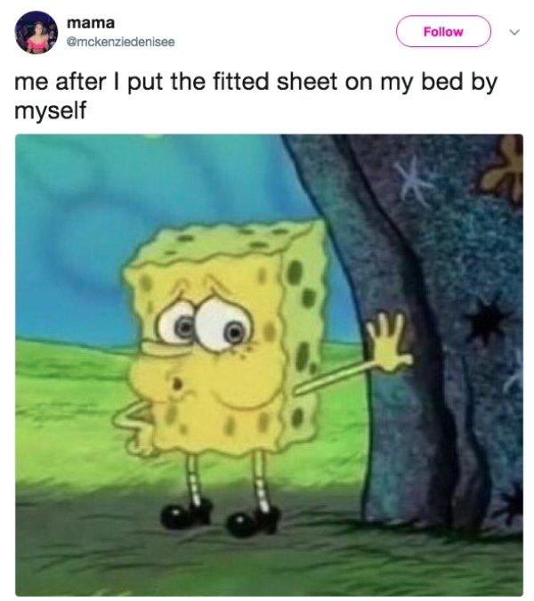 spongbob funny memes (2)