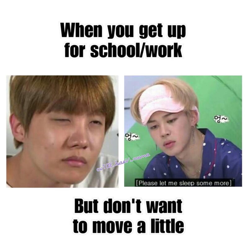 Bts Army Memes 13