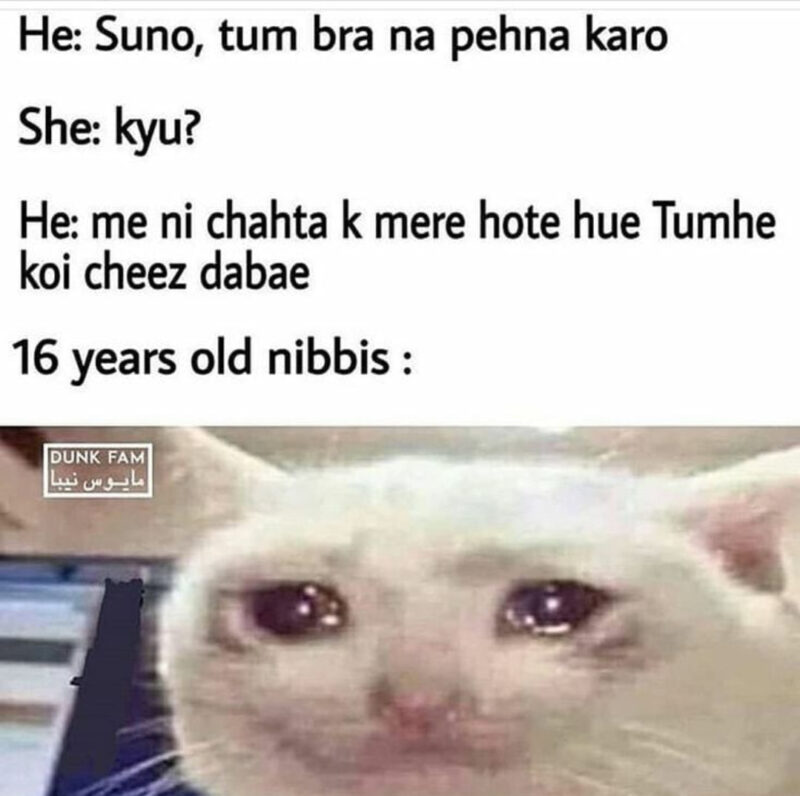 Bf Gf Nibbi Nibba Jokes 2