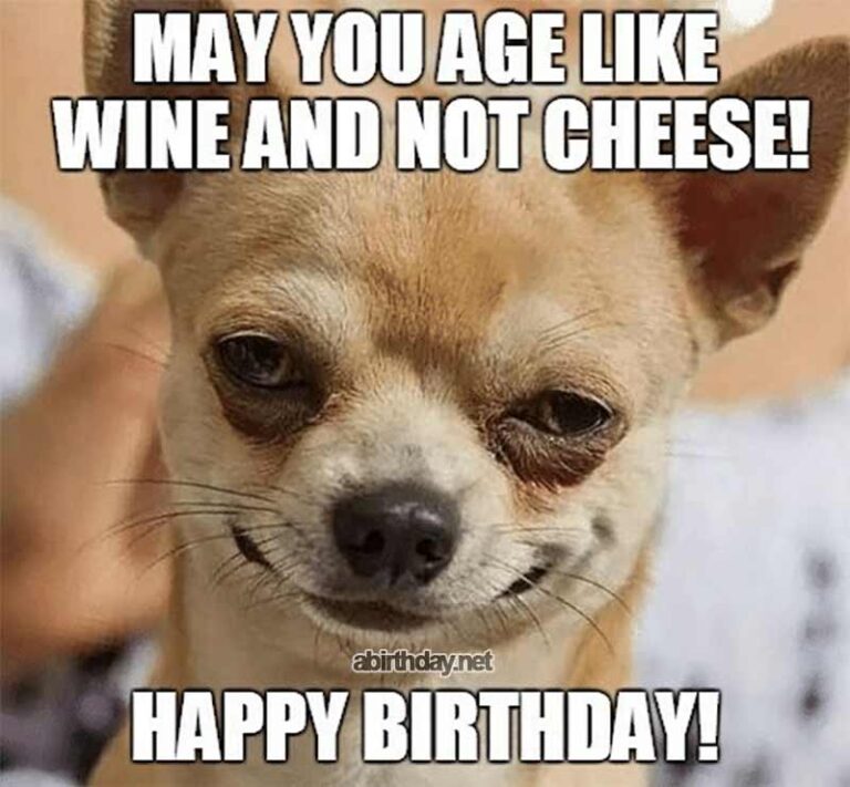 90+ Hilarious Happy Birthday Wishes Memes For Everyone - Funny Memes