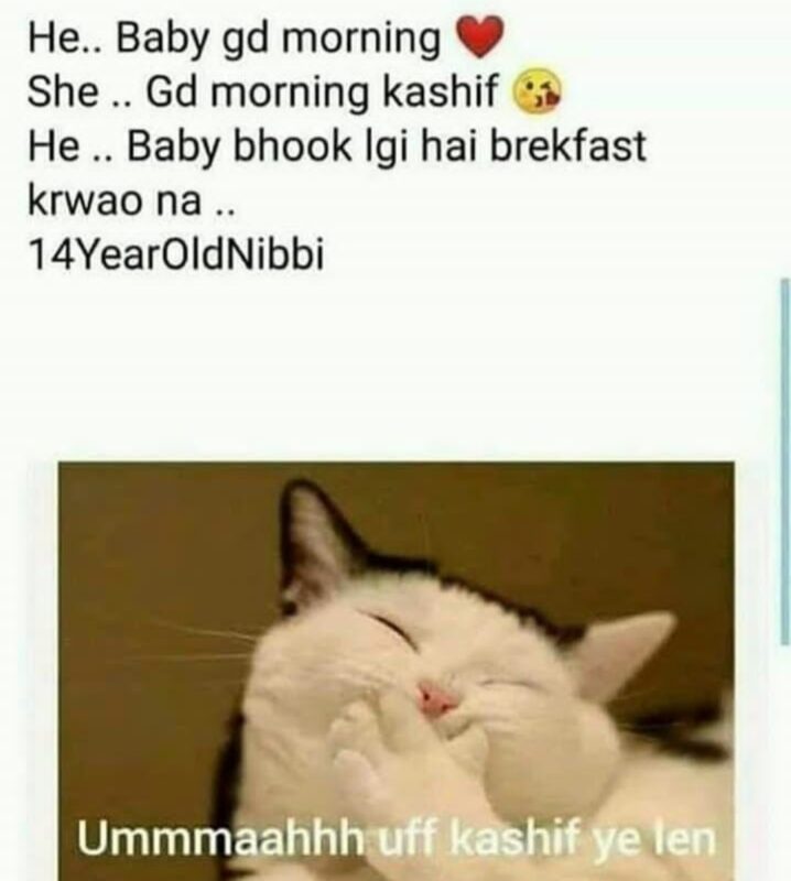 Nibbi Nibba Memes 5