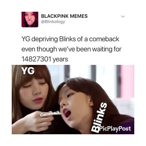 Funny Blackpink Memes 1