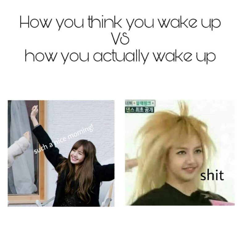 Funny Blackpink Memes 6