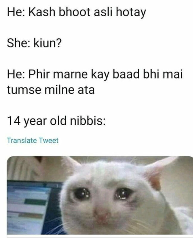 Funny Nibbi Nibba Memes 7