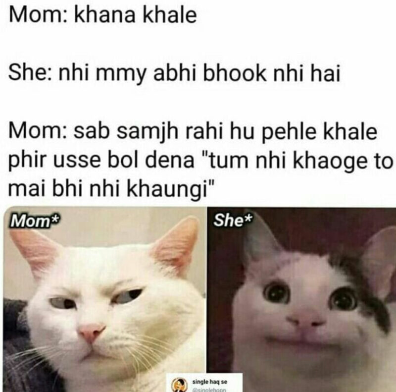 Funny Nibbi Nibba Memes 9