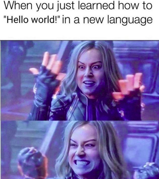 Hello World In New Language Meme