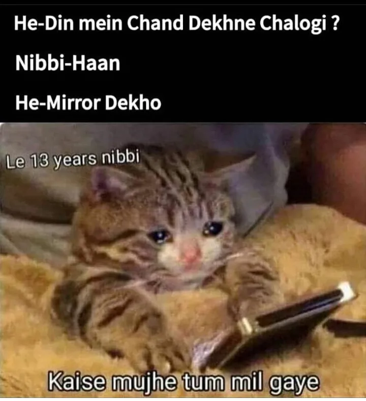 Nibba Nibbi 1620704217