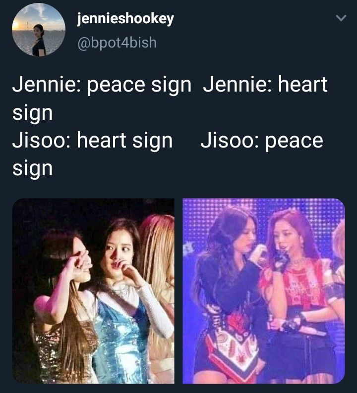 Sarcastic Blackpink Army Meme Funny 10