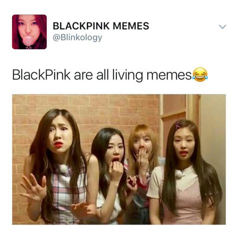 Sarcastic Blackpink Army Meme Funny 4