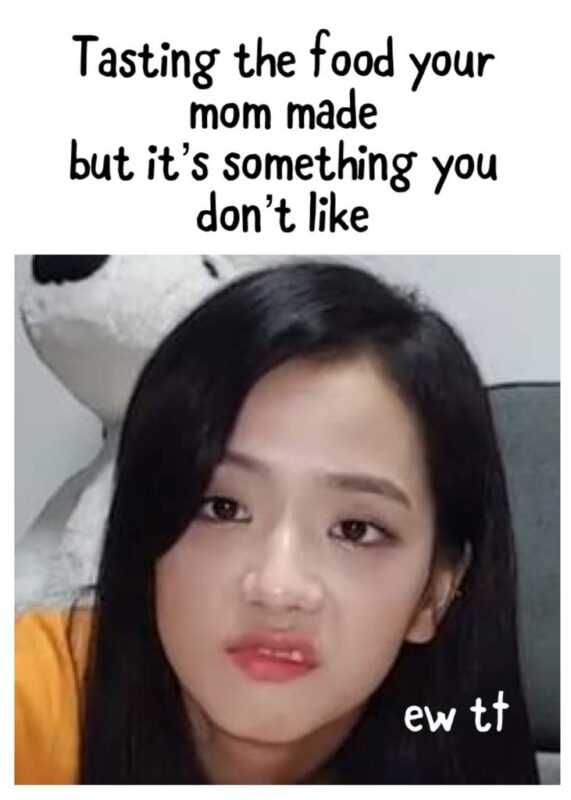 Top Blackpink Army Meme Funny 6