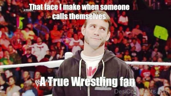 A True Wrestling Fan 600x338