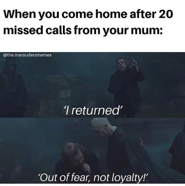 Harry Potter Meme 8