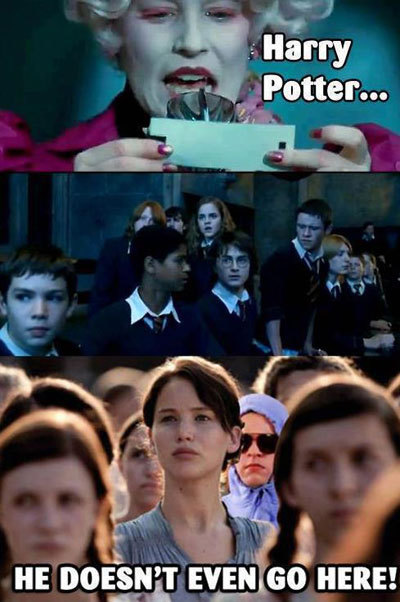 Funny Memes On Harry Potter (3)