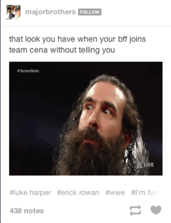 Funny Wwe Memes (1)