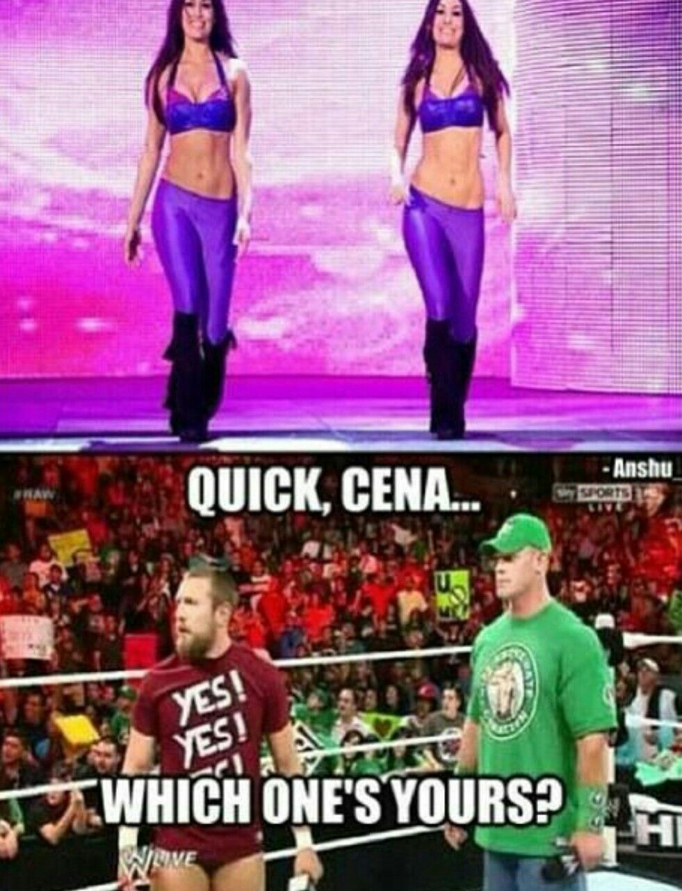 Funny Wwe Memes (5)