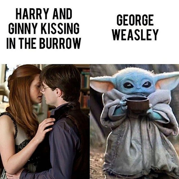 Harry Potter Memes 1 5fe49f482893f Png 700