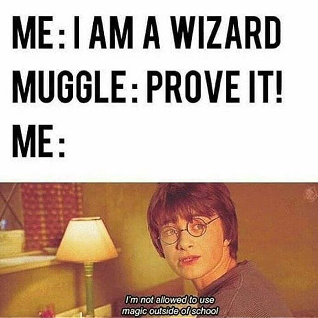 Harry Potter Memes (1)