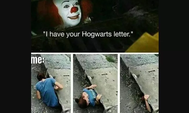 Harry Potter Memes (3)