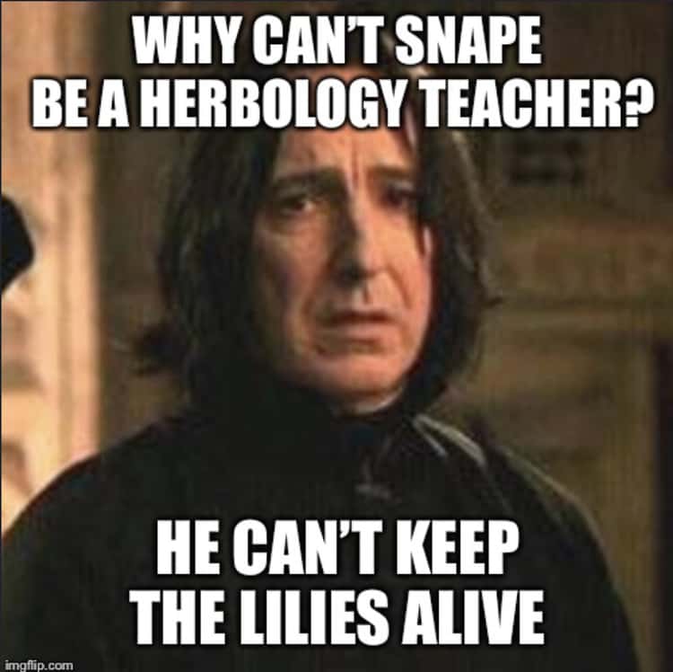 Harry Potter Memes (4)