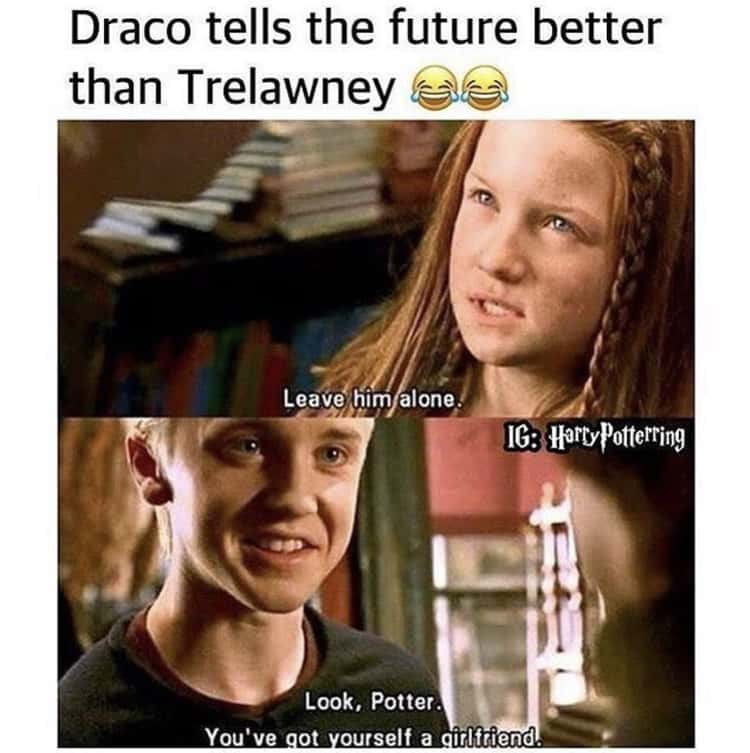 Harry Potter Memes (5)